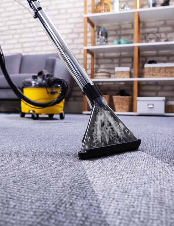 professional carpet cleaning service in newport