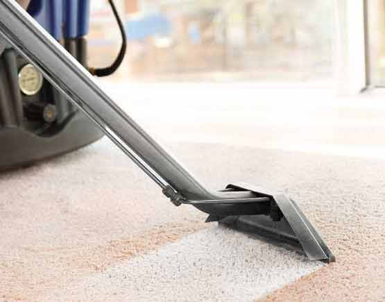 same day carpet cleaning services newport